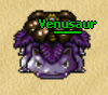 Shiny Venusaur